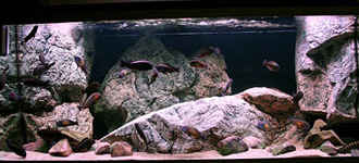 岩石型三湖鱼缸